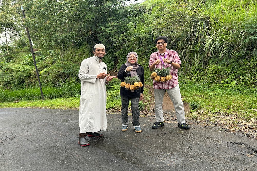 NanasQu dan Pertamina Kolaborasi dengan 900 Petani Lokal, Menembus Pasar Ekspor