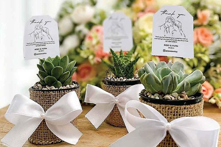 Kisah Sukses Anggi Nindya Sari: Dari Sono Kaktus hingga Cuan Ratusan Juta per Bulan dengan Suvenir Tanaman