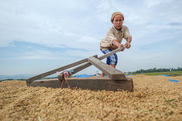 Mengapa Malaysia ingin belajar pertanian dari Indonesia? Mentan Ungkap Alasannya