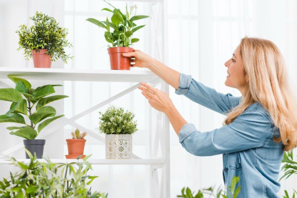 5 Tanaman Hias yang Terlihat Menawan tapi Sulit untuk Pemula!