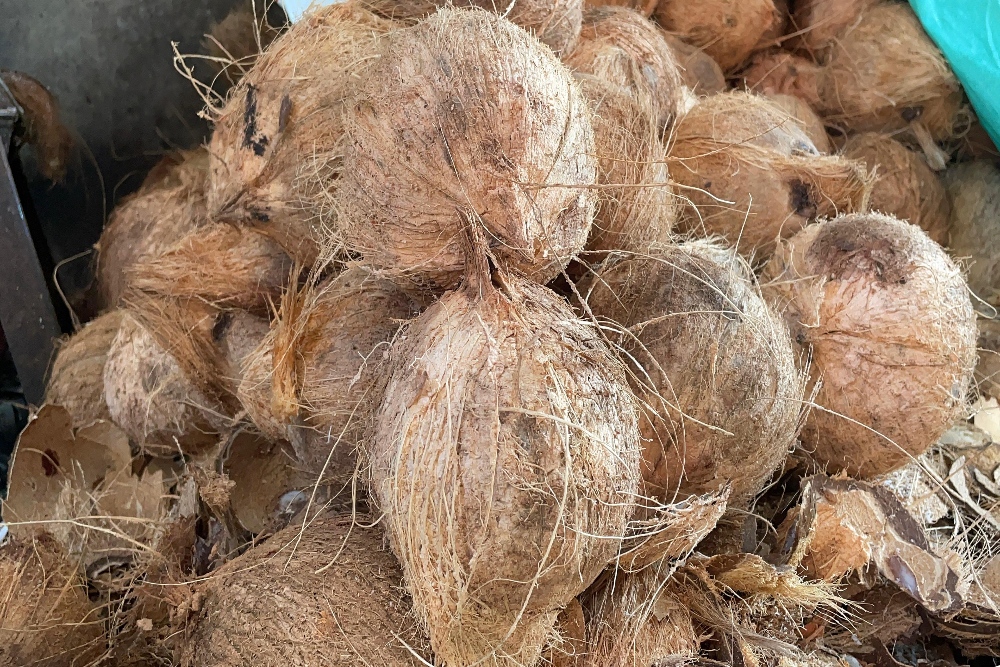 Tarif Pemotongan Ekspor Kelapa Segera Ditetapkan Kemendag