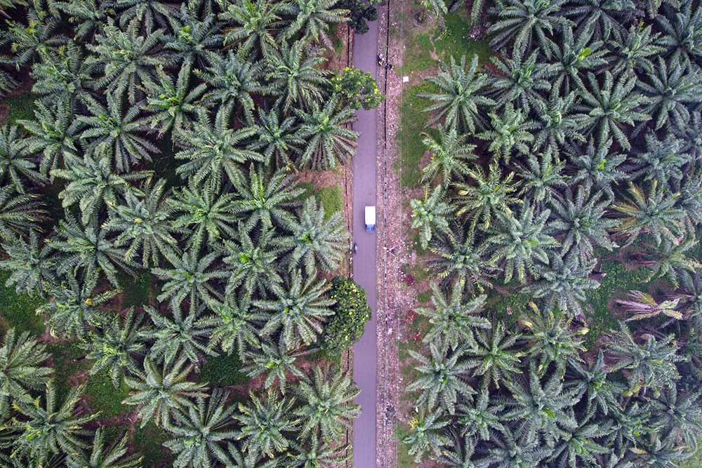 Kinerja Keuangan MKTR Meningkat Pesat di Kuartal I/2025 untuk Pertumbuhan Bisnis