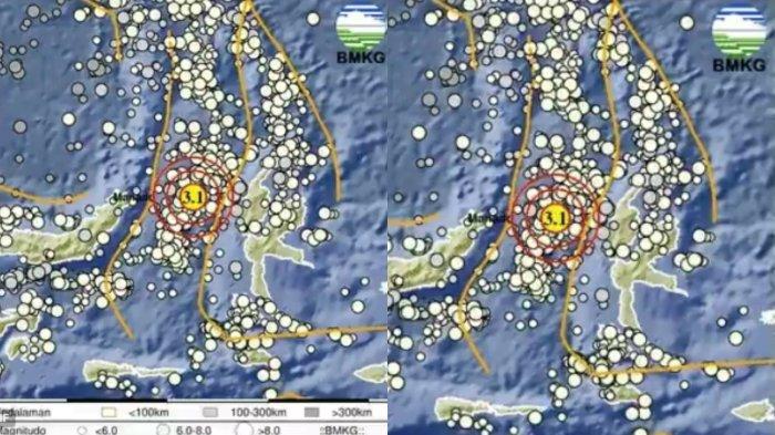 Gempa M 3,1 Guncang Jailolo Maluku Utara Hari Ini, BMKG Beri Imbauan